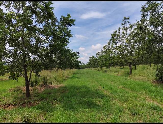 96HA FARM FOR SALE IN HEKPOORT